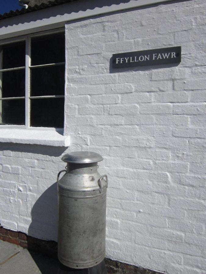 Villa Ffyllon Fawr Henfynyw Upper Exterior foto