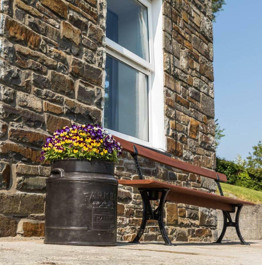 Villa Ffyllon Fawr Henfynyw Upper Exterior foto